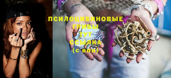 ПСИЛОЦИБИНОВЫЕ ГРИБЫ Алексин