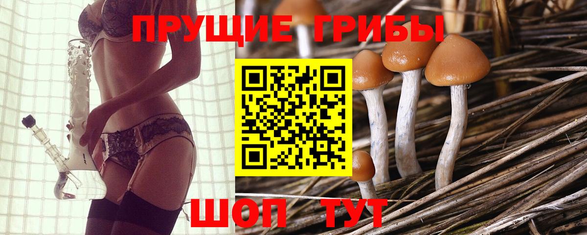 Псилоцибиновые грибы Psilocybine cubensis  Вход с VPN  купить наркоту  Фурманов 