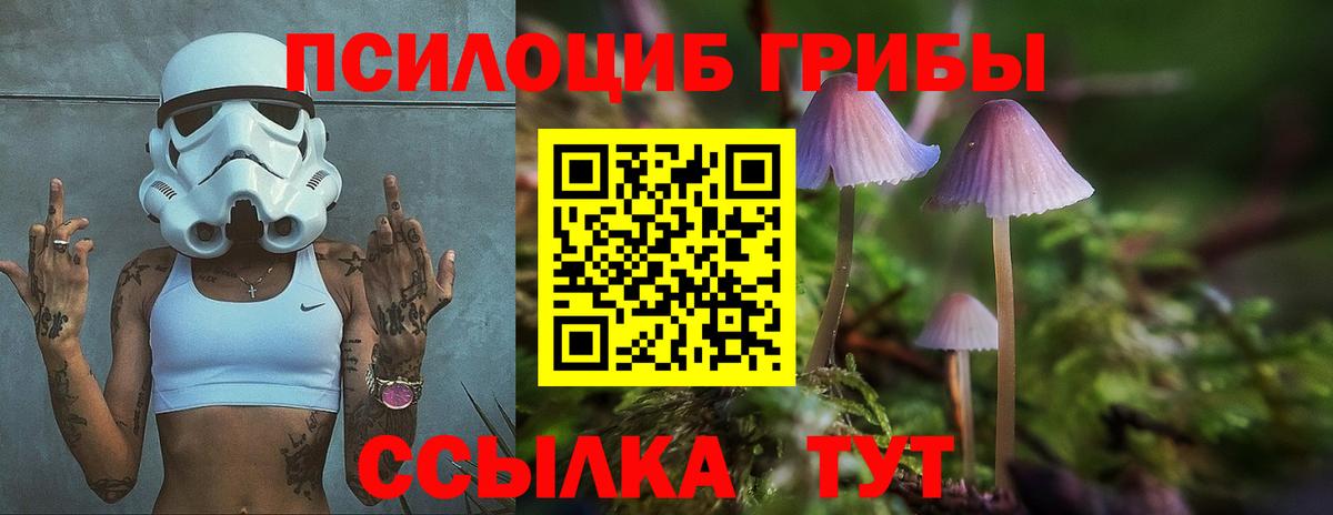 Псилоцибиновые грибы Psilocybe Фурманов